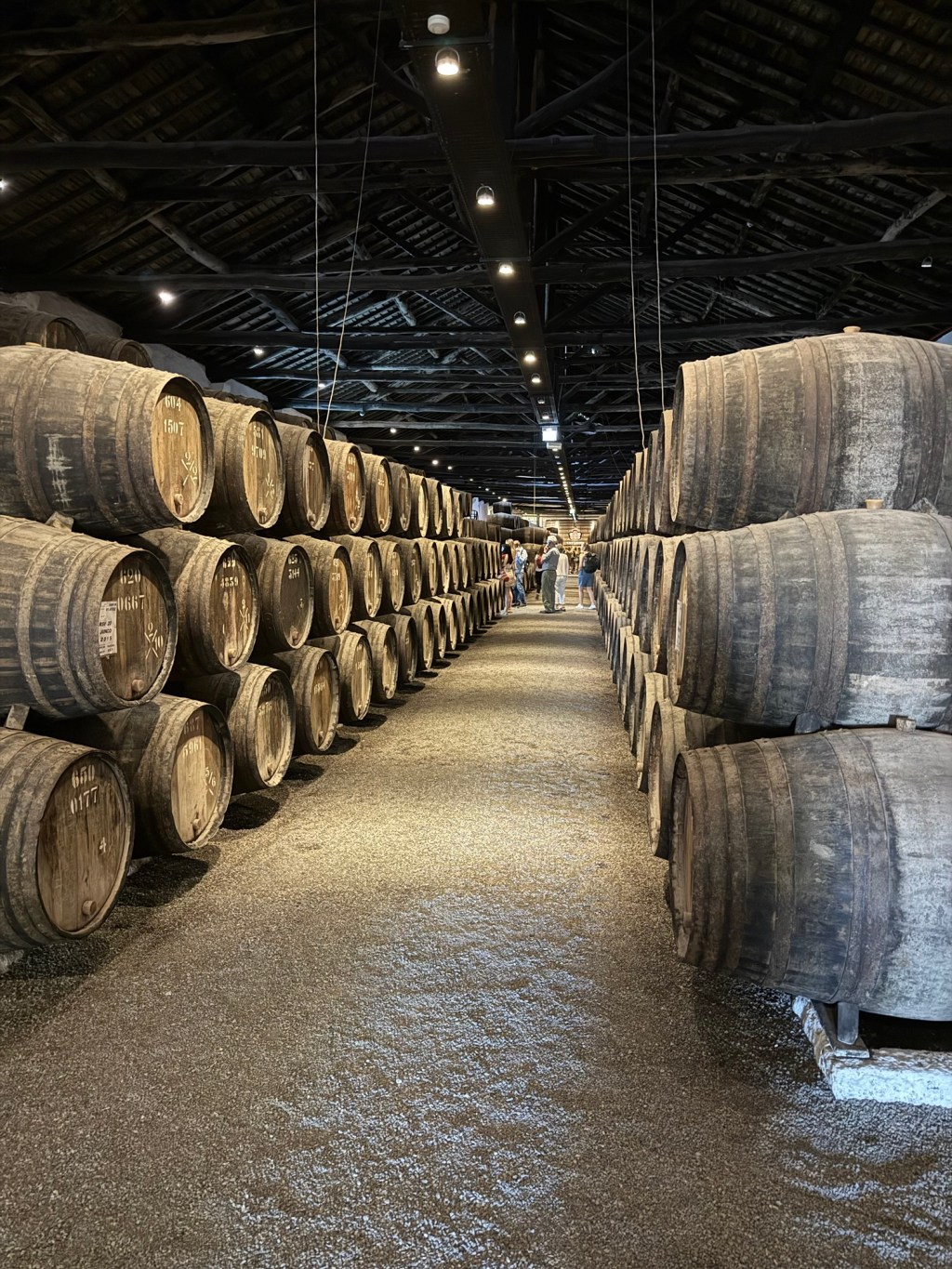 Porto “rest day”