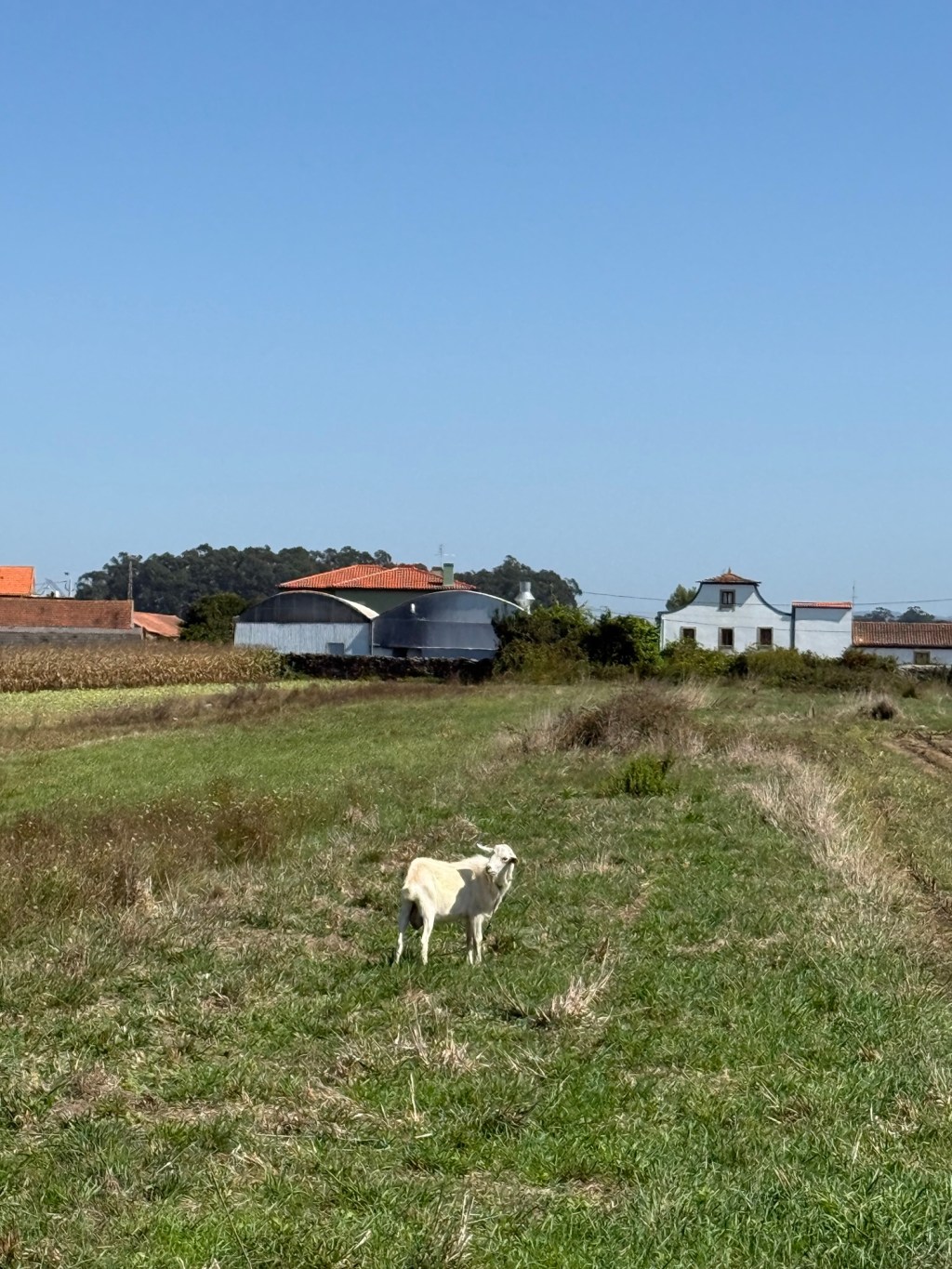 Day 3: Povoa do Varzim to Esposende