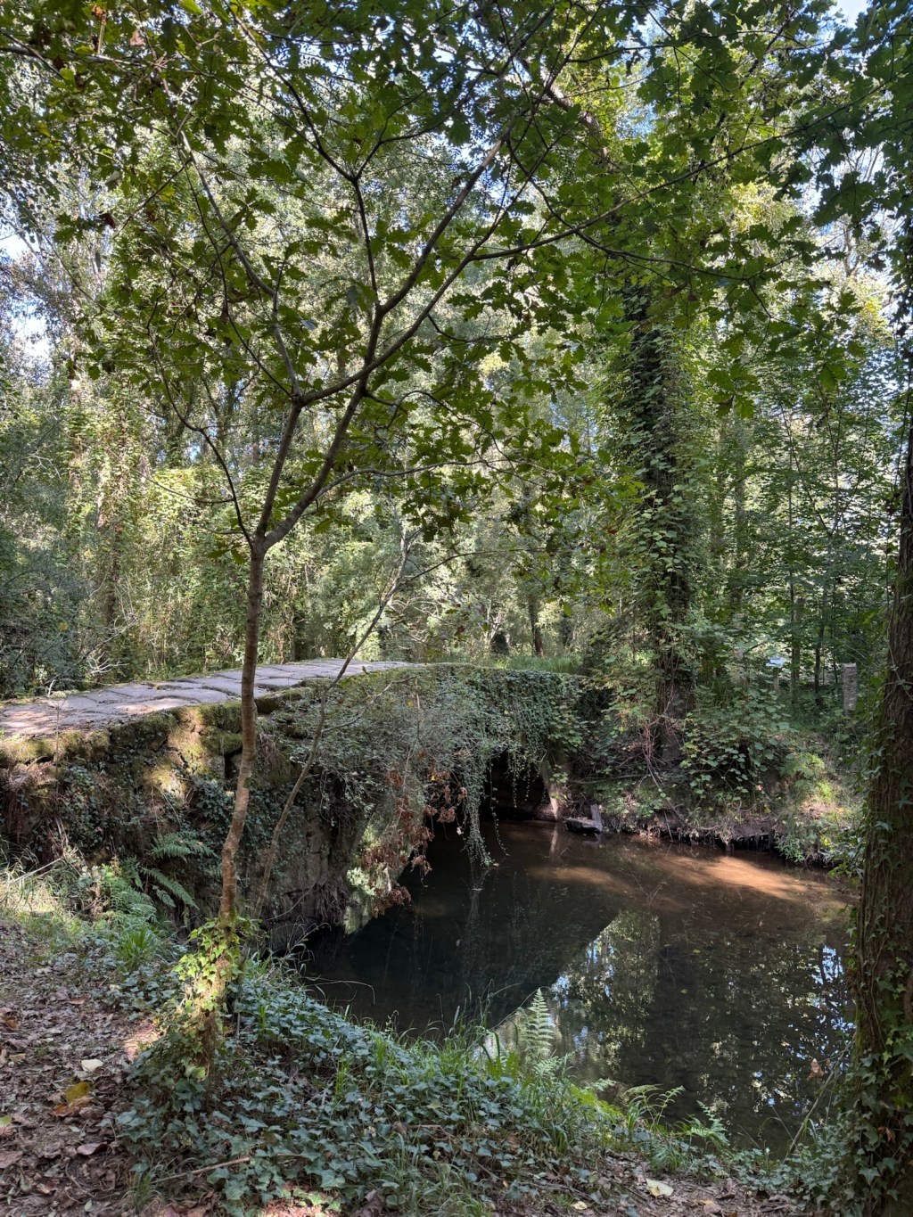 Day 9: Tui to O&nbsp;Porriño