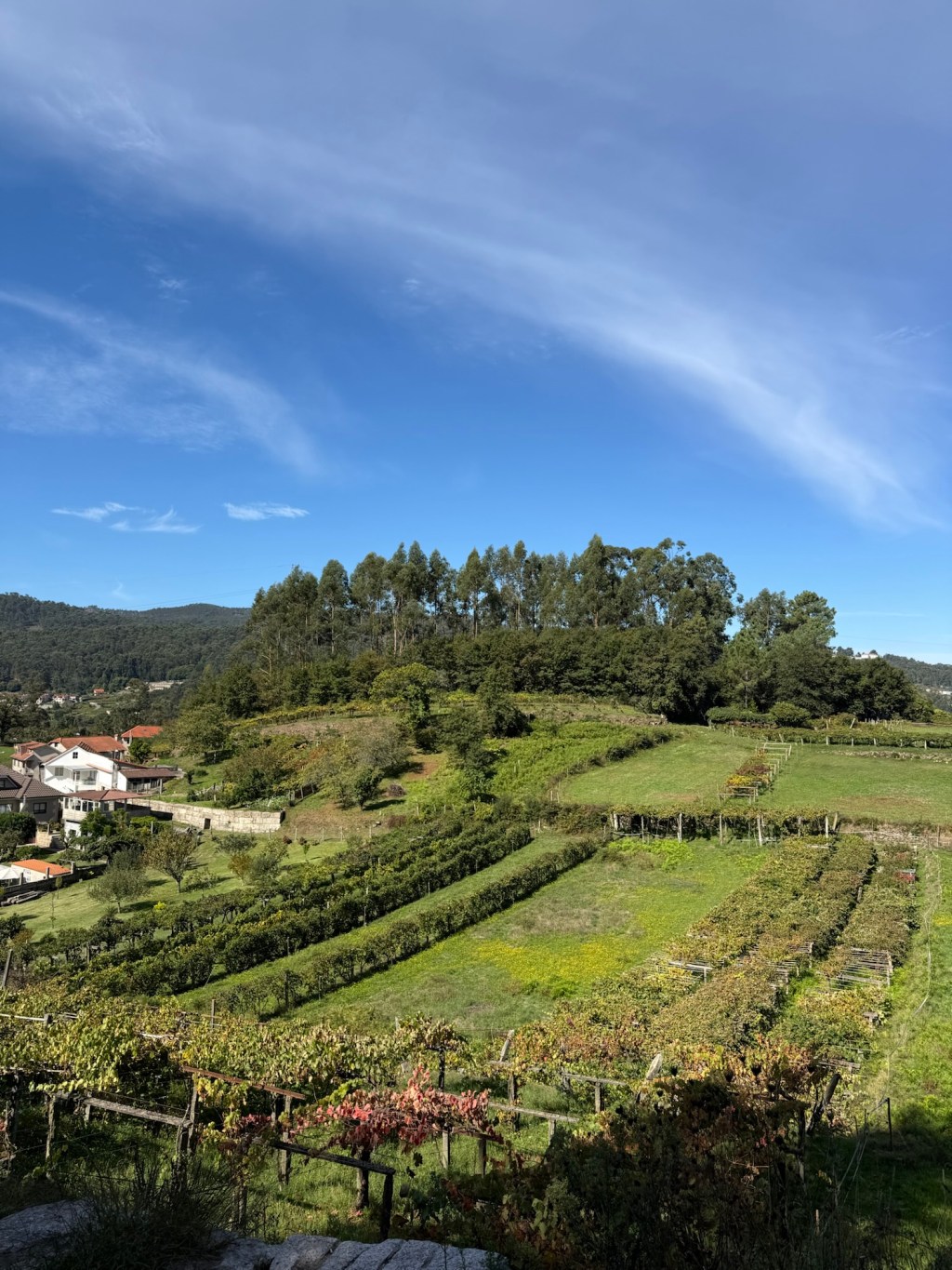 Day 11: Redondela to&nbsp;Pontevedra