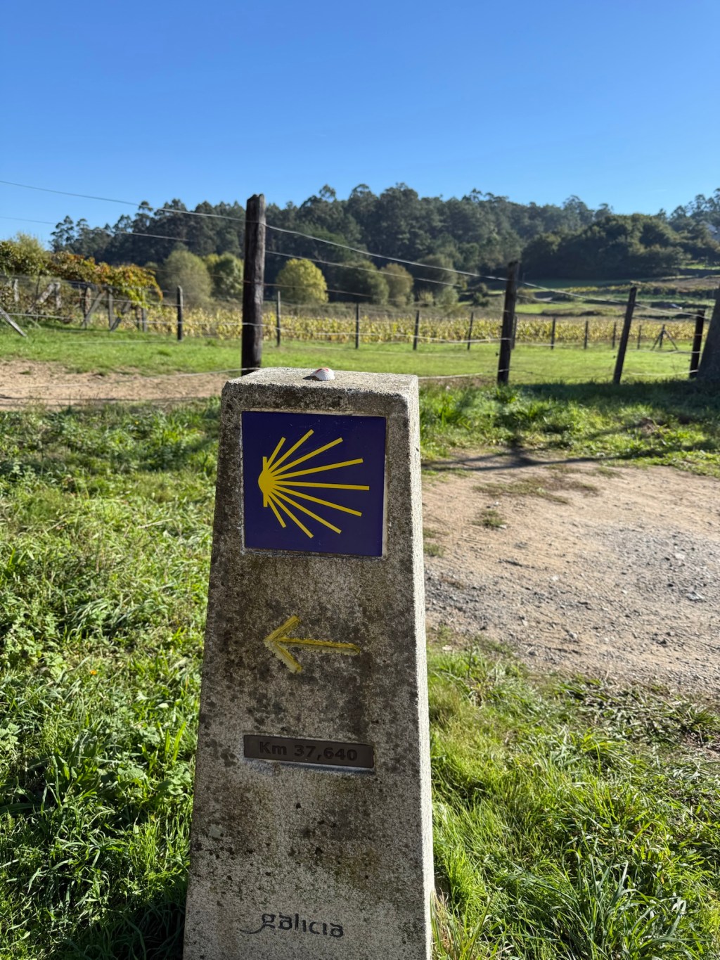 Day 13: Caldas de Reis to&nbsp;Padrón